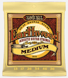 Earthwood Acoustic 80/20 Bronze - Medium - P02002