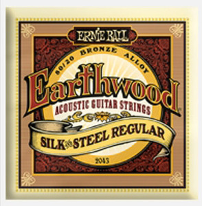 Earthwood Acoustic 80/20 Bronze - Silk &amp; Steel Regular - P02043 